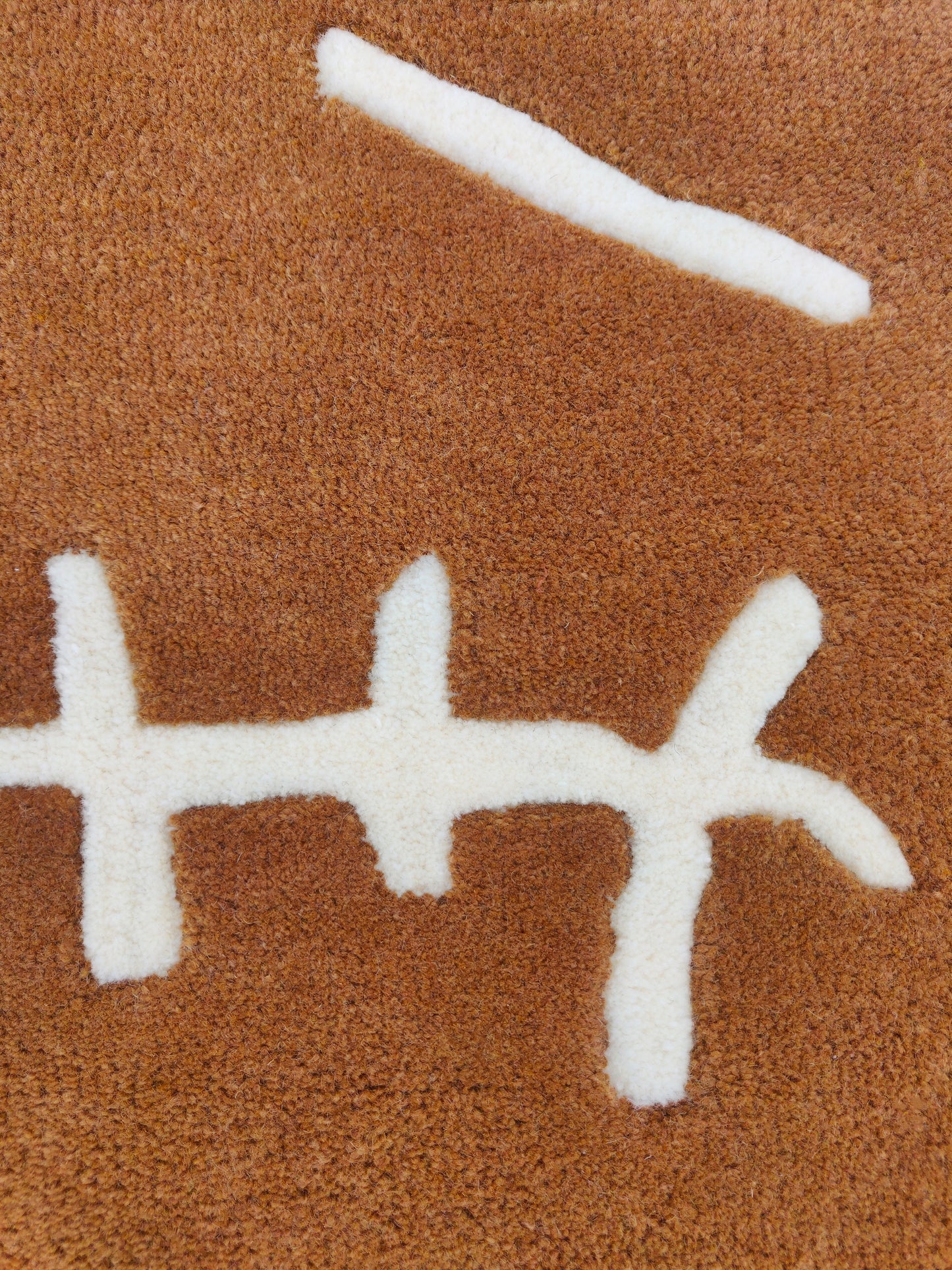 Cactus Jack Custom Rug